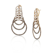 Load image into Gallery viewer, Oh So Luxe Brown Spiral Long Earrings